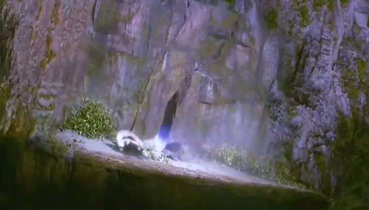 救援猫与武士